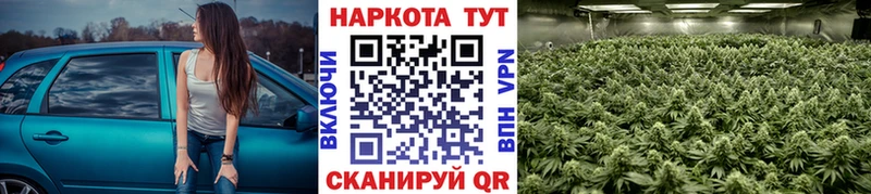 Где купить наркоту Калач Бошки Шишки  Alpha PVP  Мефедрон 