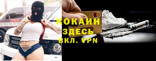 прущий лед Ельня