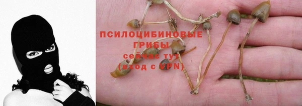 мескалин Елизово