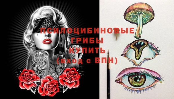 ECSTASY Елабуга