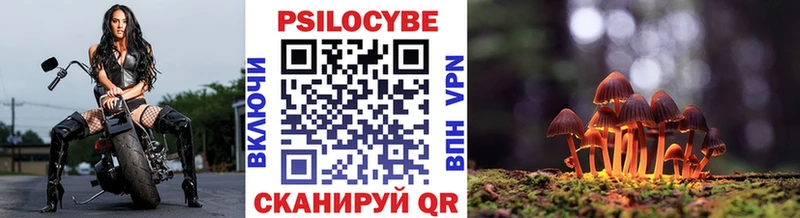 продажа наркотиков  Калач  Псилоцибиновые грибы Cubensis 